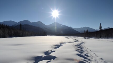 Winter&rsquo;s Majesty