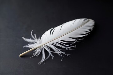 Obraz premium Close-up of a single white feather on a dark background.