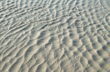 Grey puddle with small cold mud volcanoes near the town of Berca in Romania