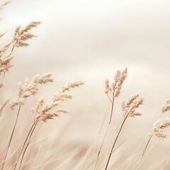 Fototapeta premium Grass swaying gently in the morning wind, a peaceful scene of nature's beauty
