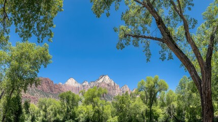 The vibrant landscape of l Park showcases towering red sandstone mountains in the background, complemented by lush green trees and a clear blue sky overhead