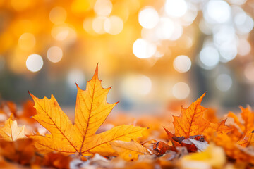 A close-up of vibrant orange autumn leaves on the ground, with a blurred background.
