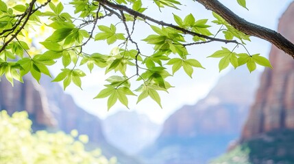Fototapeta premium The vibrant landscape of l Park showcases towering red sandstone mountains in the background, complemented by lush green trees and a clear blue sky overhead