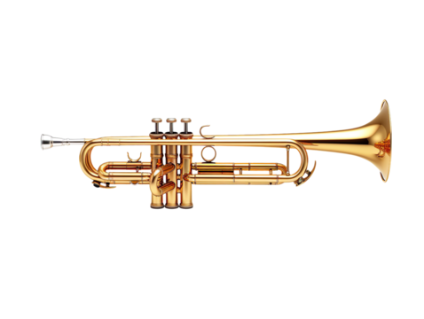 golden trumpet isolated on transparent background