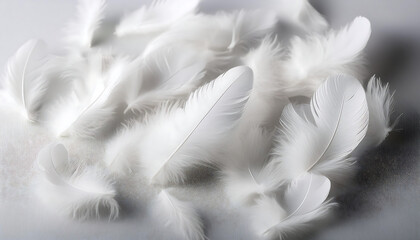 Fototapeta premium soft white feathers scattered light surface evoking calm serenity