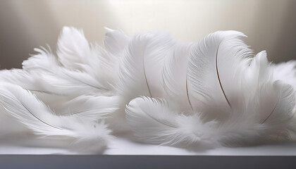Fototapeta premium soft white feathers scattered light surface evoking calm serenity