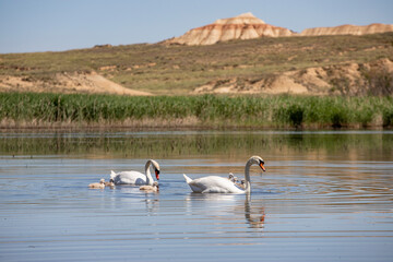Désert de Bardenas en Espagne