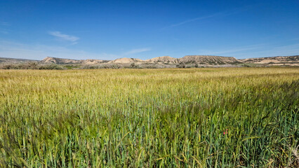 Désert de Bardenas en Espagne