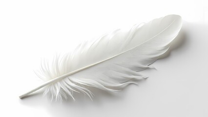 White Feather Isolated on Black Background PNG
