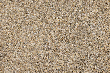 Fond de sable beige