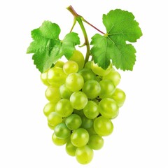 Obraz premium A bunch of grape fruit isolated over white background