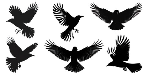 Obraz premium Silhouettes of birds flying in various poses, flock of birds in motion, isolated on transparent background