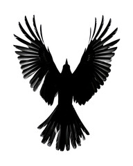 Fototapeta premium Silhouette of a bird flying with wings spread wide, isolated on transparent background