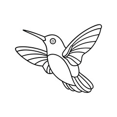 Obraz premium hummingbird line art illustration on white background
