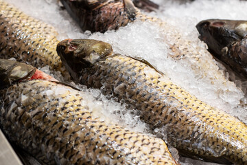 A collection of various types of fish are laying on ice in a tray