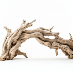 driftwood arch - driftwood arch