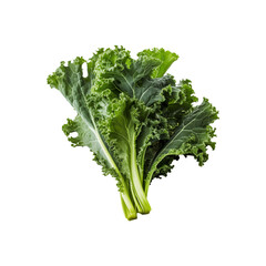 Fresh, crisp kale leaves are covered in water droplets. Ideal for healthy eating, organic farming, a natural diet, and green lifestyle concepts. Generative AI