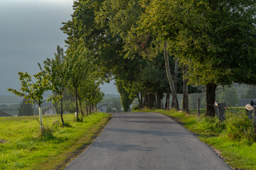 Pasture land with fences in summer evening near Chrastava town in north Bohemia