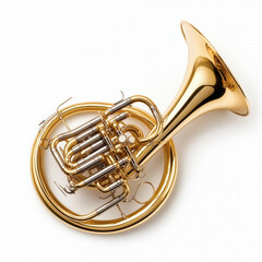 Fototapeta premium French Horn Isolated