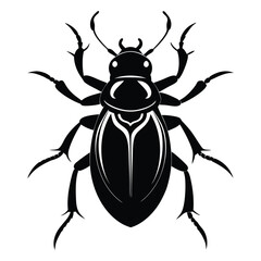 beetle isolated on white