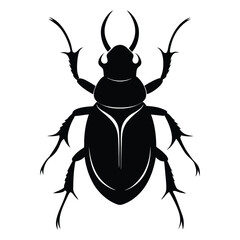 black beetle silhouette style with white background
