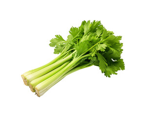 Fresh green celery stalks with leaves, vibrant and healthy produce for food blogs, recipes, nutrition articles, or farm market promotions. Generative AI
