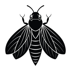 cicadas silhouette style with white background