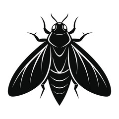 cicadas silhouette style on white background