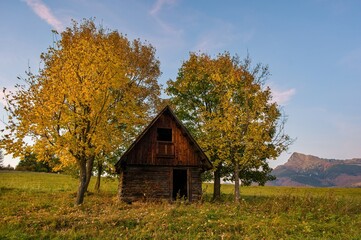 Fototapeta premium Autumn landscape with an old wooden house, around colored trees with autumn leaves on a mountain meadow in the background a rocky mountain. Krivan, High Tatras, Slovakia