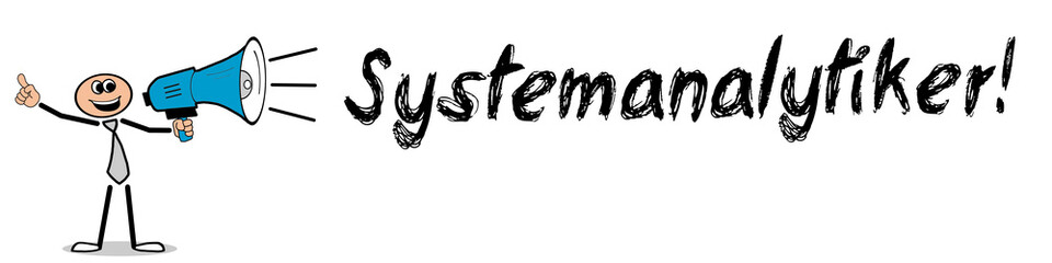 Systemanalytiker!