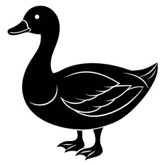       Beautiful duck silhouette vector illustration.
