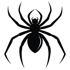 spider silhouette style isolated on white