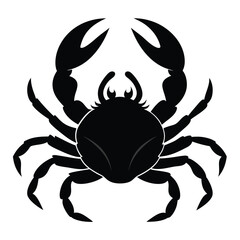 black crab isolated on white