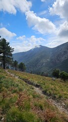 landscape in the mountains