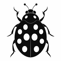 ladybug  silhouette style on white background