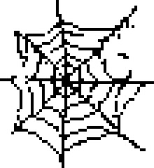 The spider web