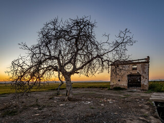 Naklejka premium Sunset around the Albufera of Valencia (Spain)