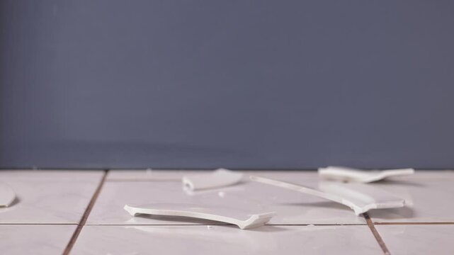 Ceramic plate hitting the floor breaking to pieces