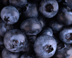 close up of blueberries