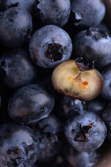 close up of blueberries