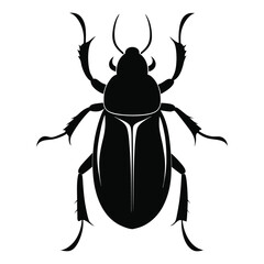 black beetle silhouette style with white background
