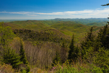 Fototapeta premium Blue Ridge Parkway in Spring