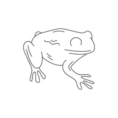 Hand drawn outline frog vector illustration