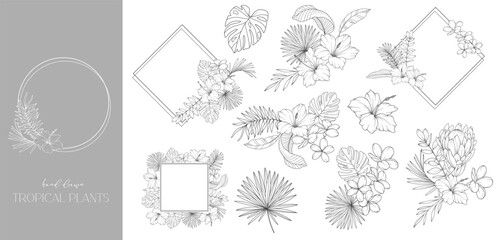 Fototapeta premium Floral Frame. Line Art Tropical Plants. Floral Line Art. Flower Coloring Page. Fine Line Tropical Greenery illustration. Hand Drawn flowers. Tropical Wedding invitation flowers