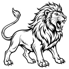 lion black and white illustration 