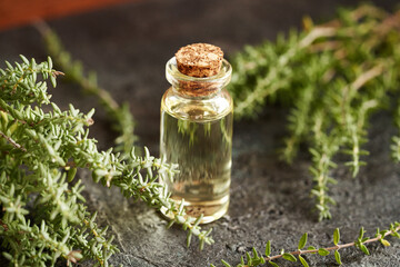 A bottle of aromatherapy essential oil with fresh thyme twigs