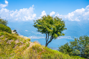 Fototapeta premium A breathtaking vista reveals Lake Como surrounded by lush hills, dotted with trees and framed by a sky filled with fluffy clouds. The serene landscape showcases nature's beauty and tranquility.