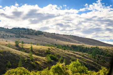 landscape of the mountains