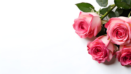Fototapeta premium bouquet of pink roses