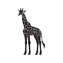 Fototapeta premium vector of black silhouette of giraffe